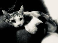 Yann ETIENNE - YANN ETIENNE PHOTOGRAPHE